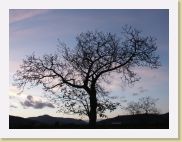 2005-11-05 17-09-17 Novembre 41,6mm 1_64_eme F4,0 * 2560 x 1920 * (2.6MB)